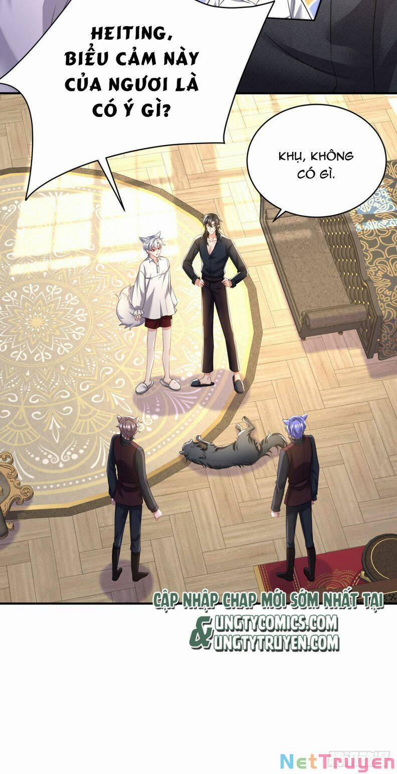 Thú Thụ Bất Thân Dẫn Sói Vào Nhà 117 trang 18