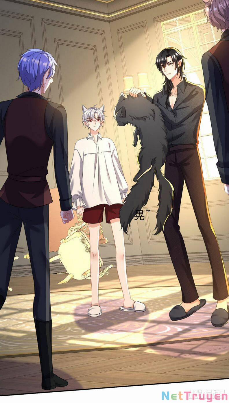 Thú Thụ Bất Thân Dẫn Sói Vào Nhà 117 trang 26