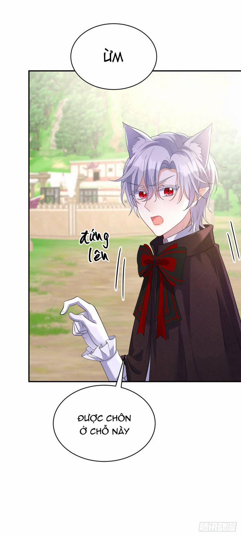 Thú Thụ Bất Thân Dẫn Sói Vào Nhà 118 trang 24