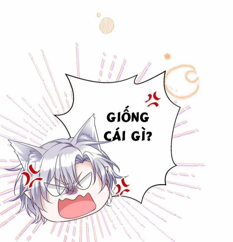 Thú Thụ Bất Thân Dẫn Sói Vào Nhà 119 trang 25