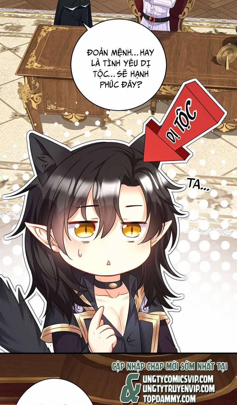 Thú Thụ Bất Thân Dẫn Sói Vào Nhà 161 trang 5