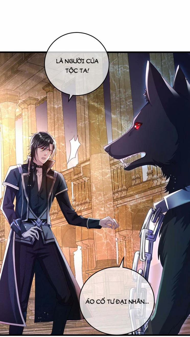 Thú Thụ Bất Thân Dẫn Sói Vào Nhà 8 trang 14