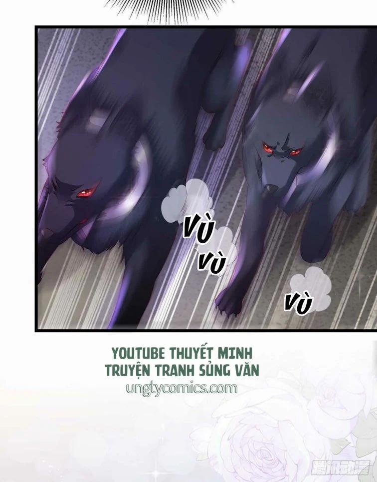 Thú Thụ Bất Thân Dẫn Sói Vào Nhà 9 trang 17