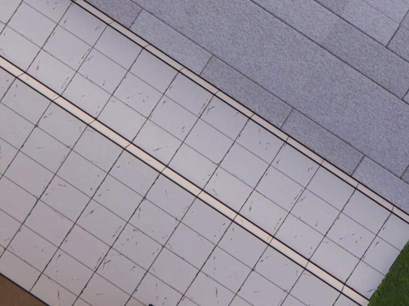 Thu Triệu Vạn Đồ Đệ, Vi Sư Vô Địch Thế Gian 52 trang 38