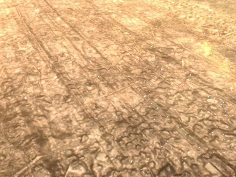 Thu Triệu Vạn Đồ Đệ, Vi Sư Vô Địch Thế Gian 75 trang 89