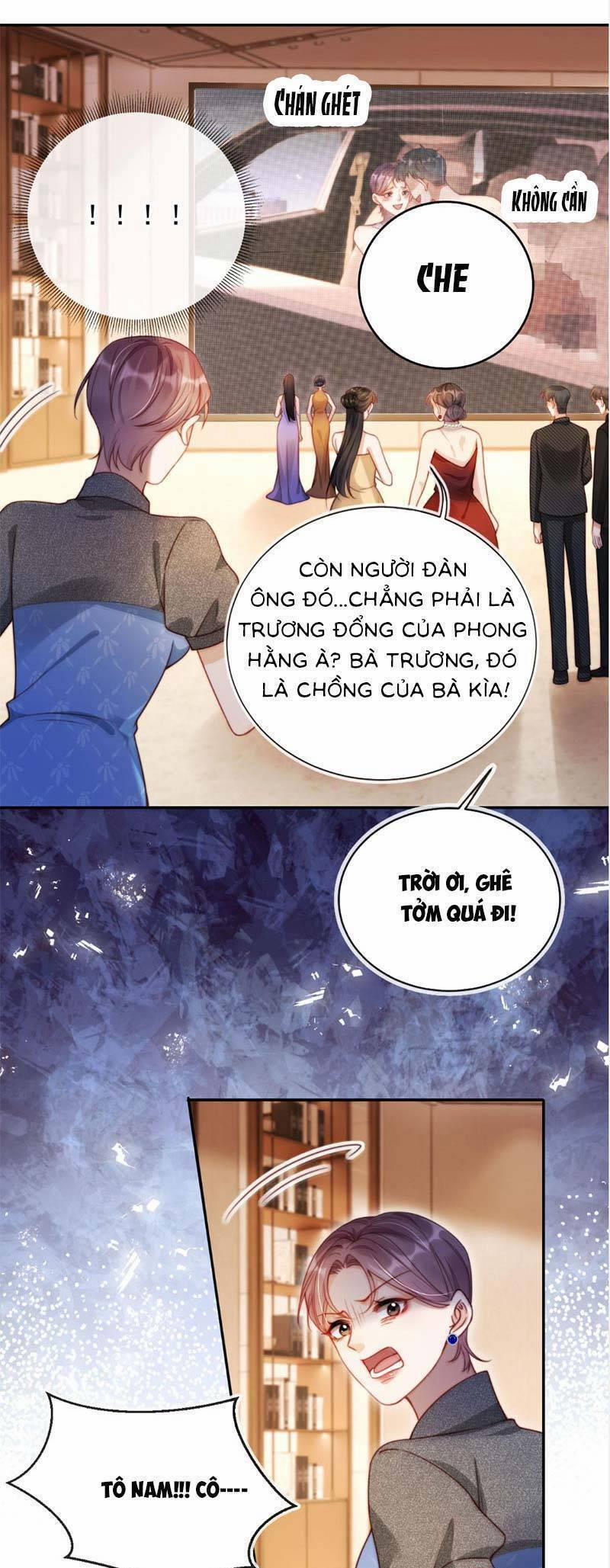 Thừa Kế Gia Sản Ngàn Tỷ Sau Khi Ly Hôn 31 trang 3