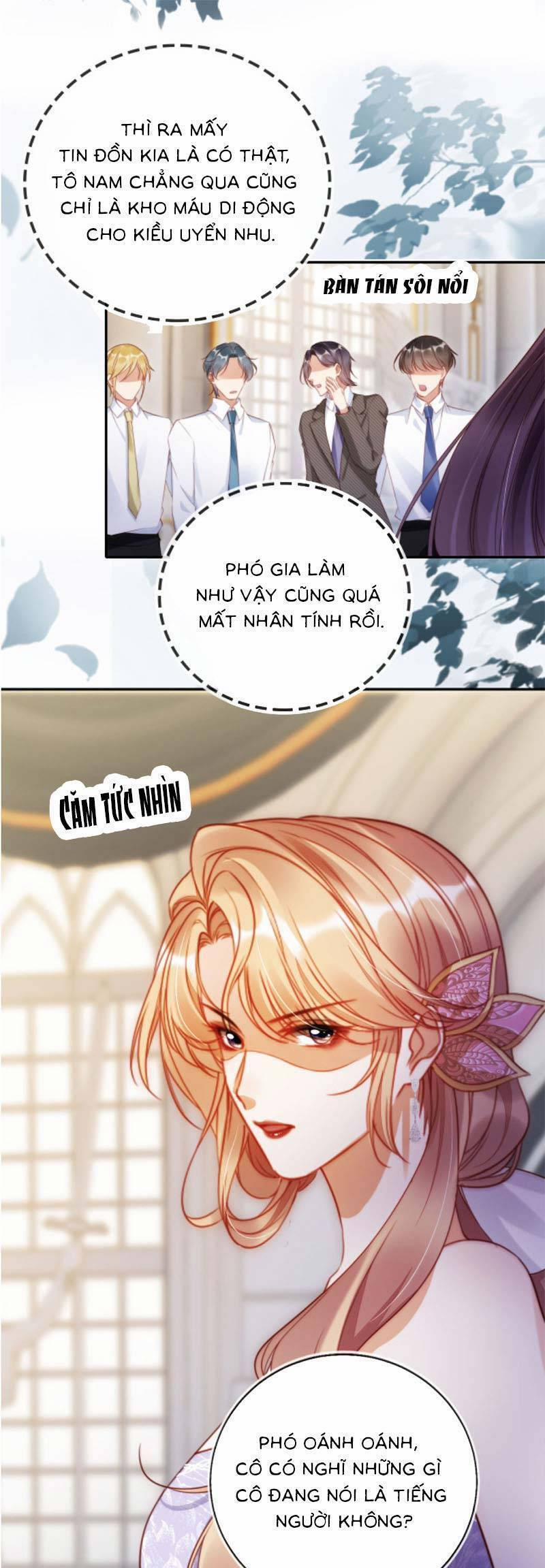 Thừa Kế Gia Sản Ngàn Tỷ Sau Khi Ly Hôn 33 trang 10