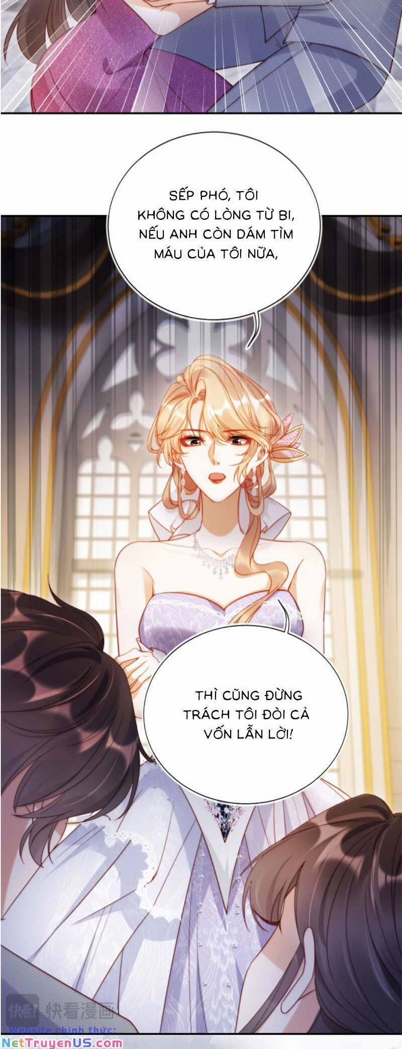 Thừa Kế Gia Sản Ngàn Tỷ Sau Khi Ly Hôn 33 trang 15