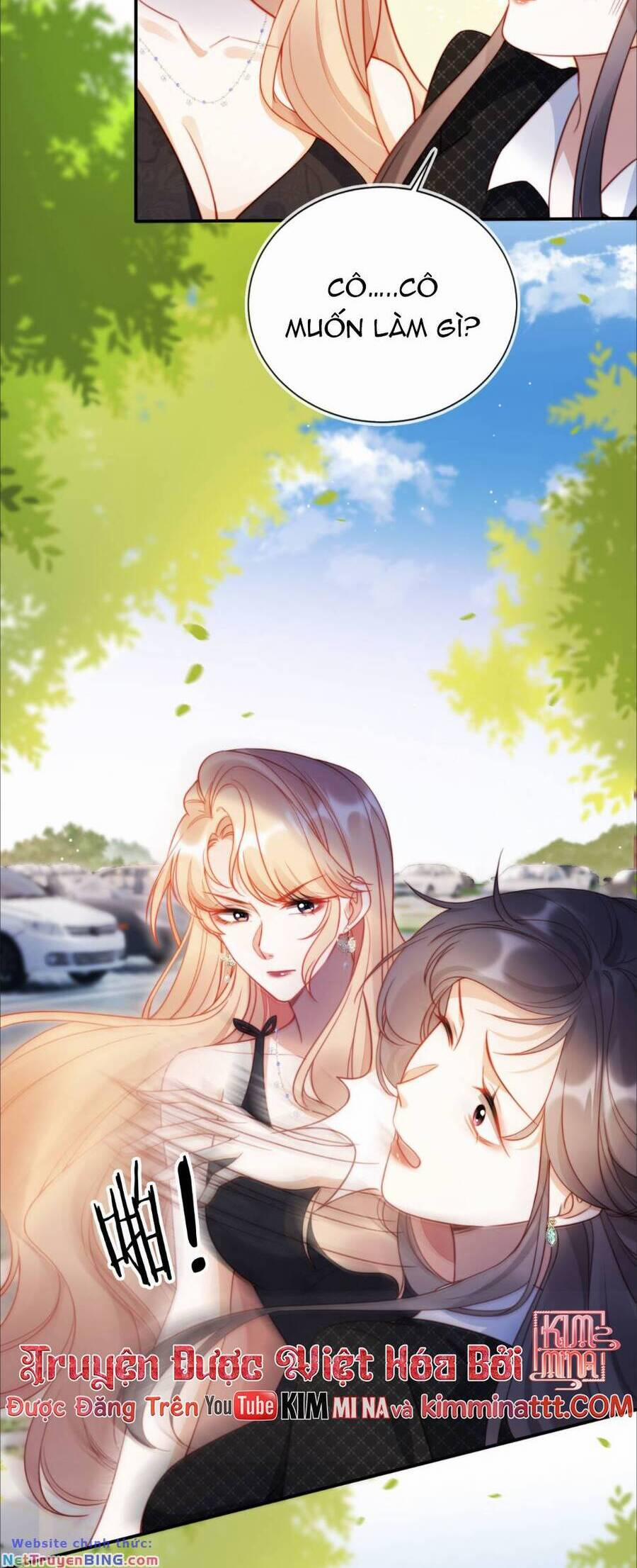 Thừa Kế Gia Sản Ngàn Tỷ Sau Khi Ly Hôn 48 trang 27