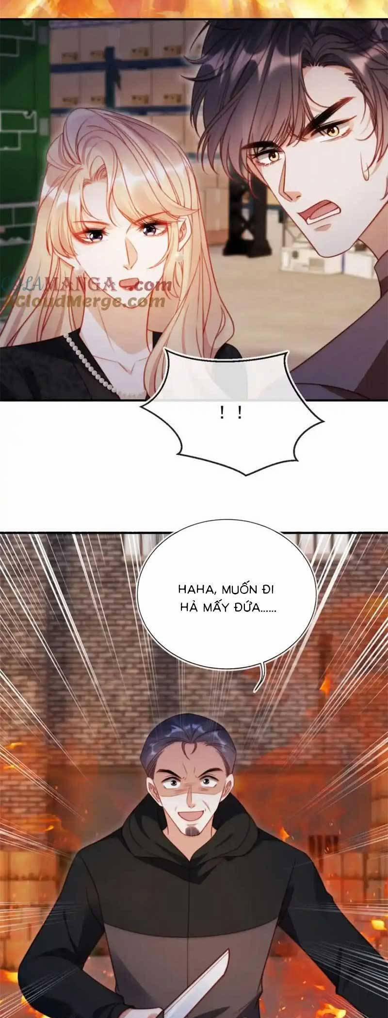 Thừa Kế Gia Sản Ngàn Tỷ Sau Khi Ly Hôn 51 trang 25