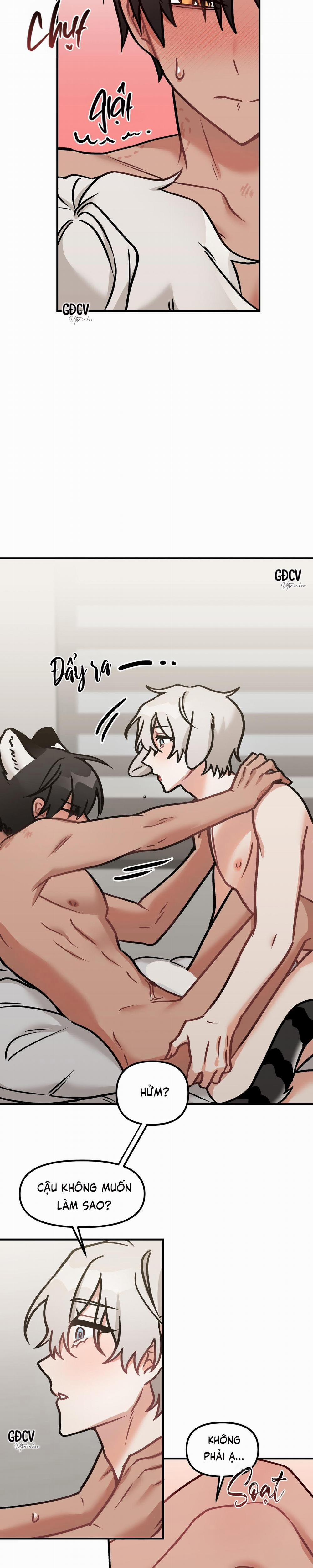 Thưa Ngài Hổ, Tôi Đã Ăn Rất Ngon Miệng 10 trang 10