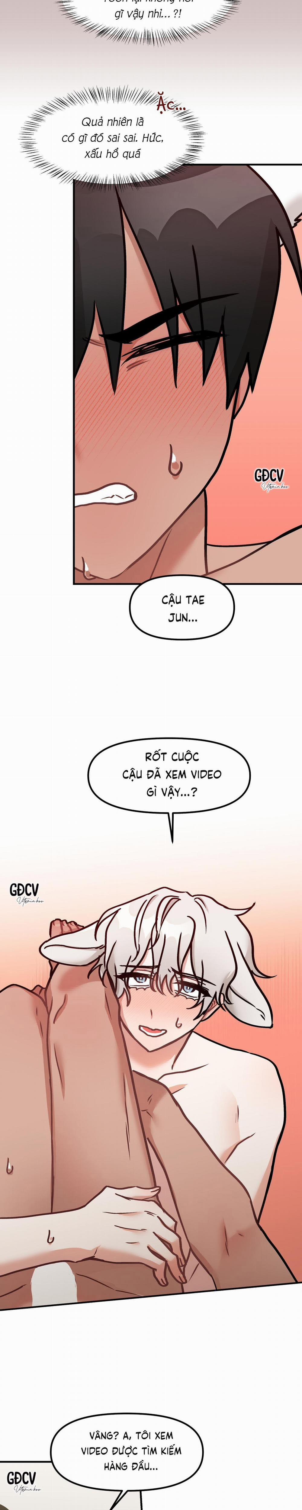 Thưa Ngài Hổ, Tôi Đã Ăn Rất Ngon Miệng 10 trang 13