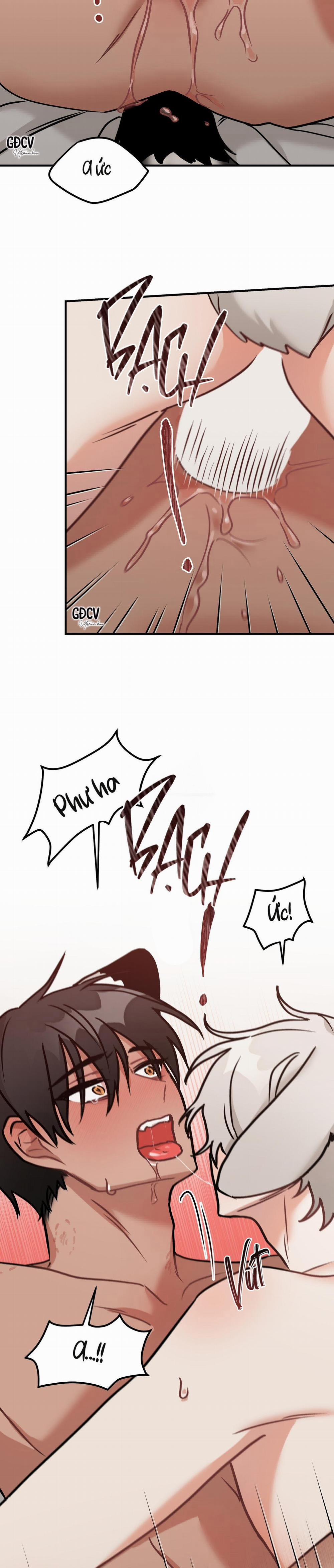 Thưa Ngài Hổ, Tôi Đã Ăn Rất Ngon Miệng 10 trang 18