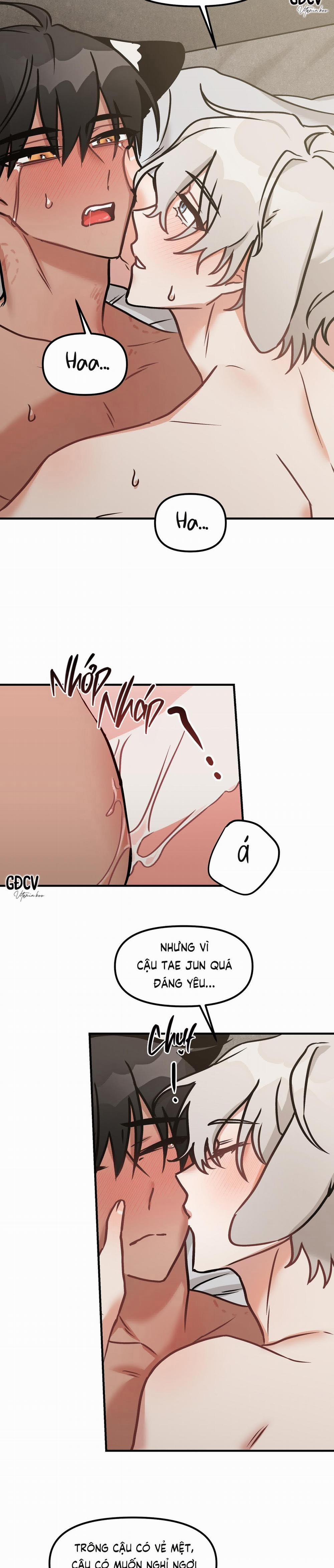 Thưa Ngài Hổ, Tôi Đã Ăn Rất Ngon Miệng 10 trang 22