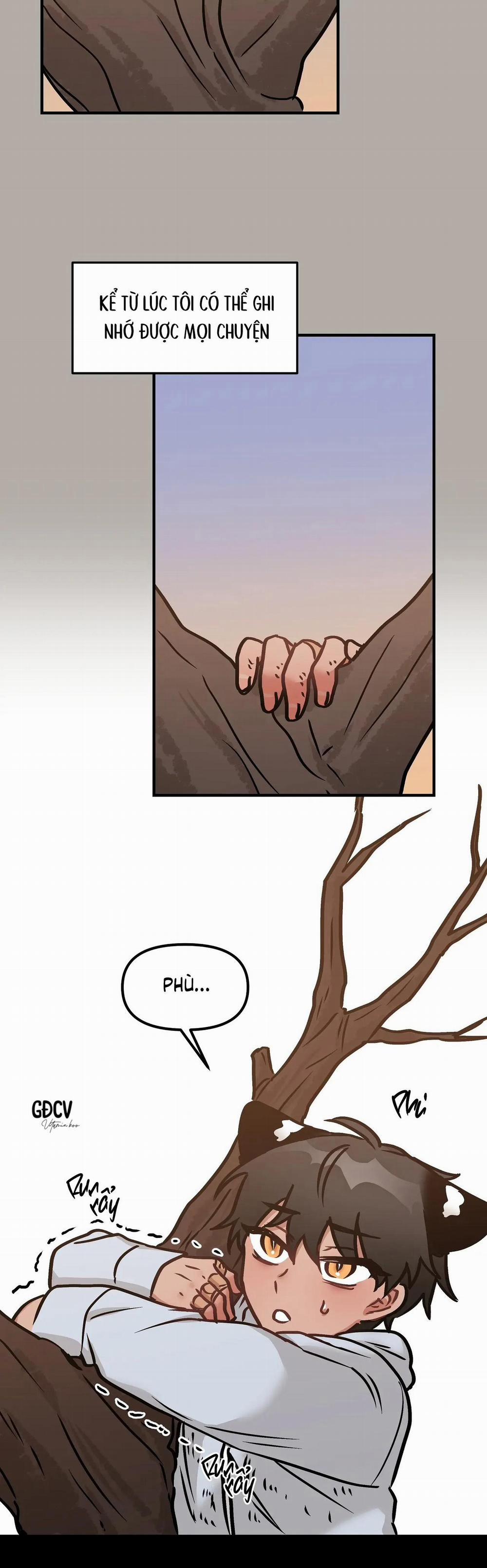 Thưa Ngài Hổ, Tôi Đã Ăn Rất Ngon Miệng 11 trang 16