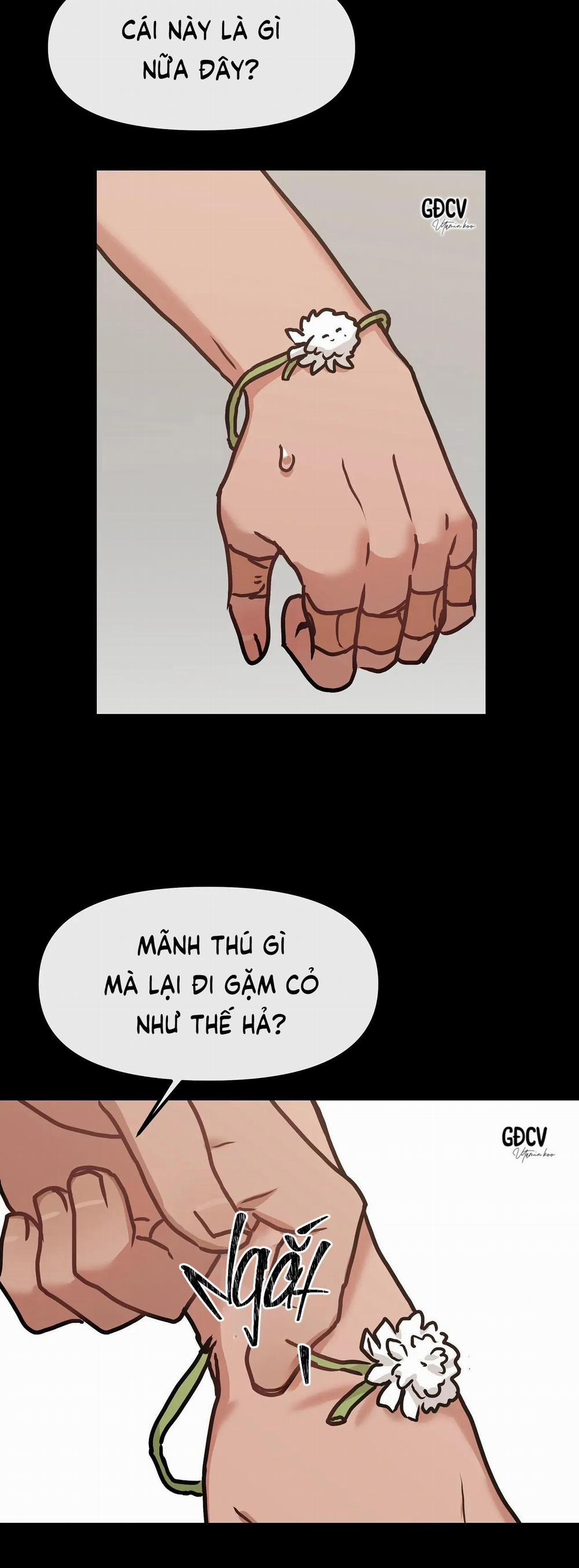 Thưa Ngài Hổ, Tôi Đã Ăn Rất Ngon Miệng 11 trang 23