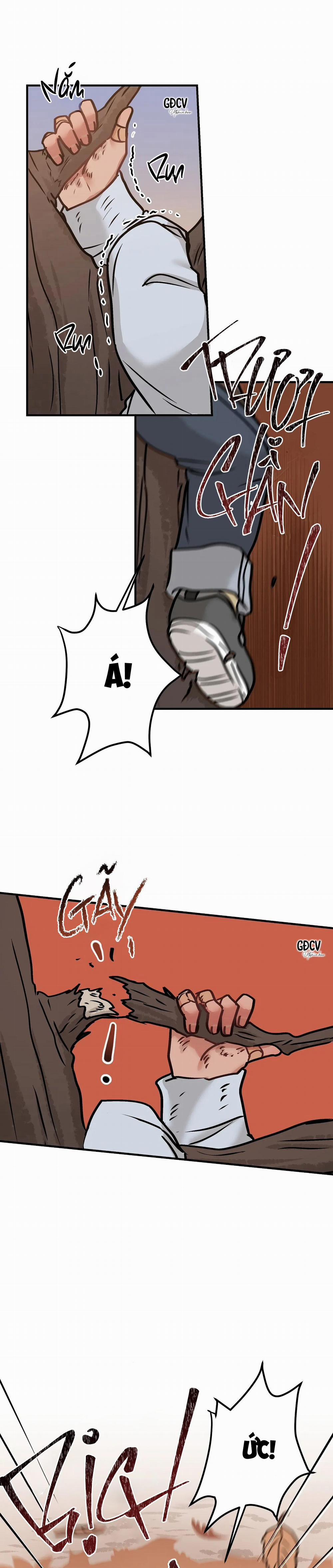 Thưa Ngài Hổ, Tôi Đã Ăn Rất Ngon Miệng 11 trang 29