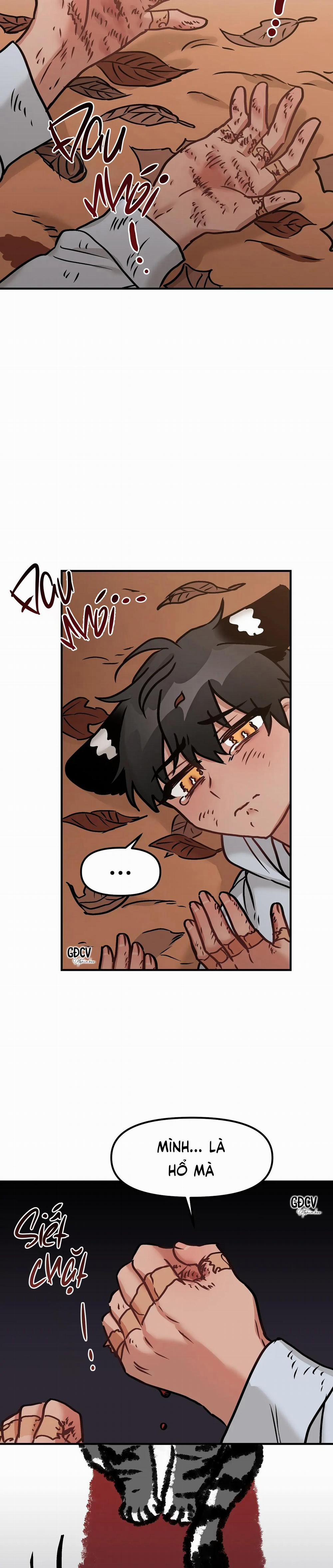 Thưa Ngài Hổ, Tôi Đã Ăn Rất Ngon Miệng 11 trang 31