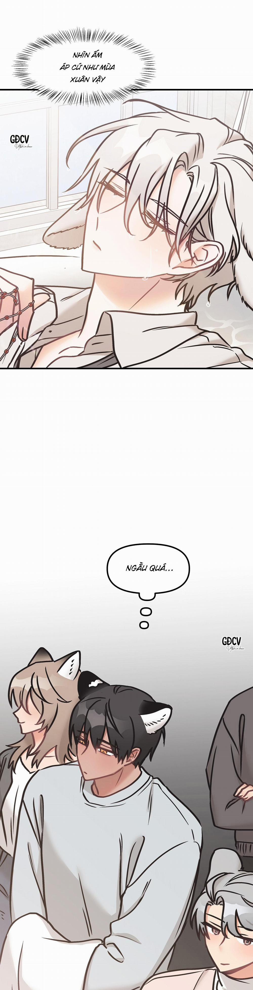 Thưa Ngài Hổ, Tôi Đã Ăn Rất Ngon Miệng 15 trang 5