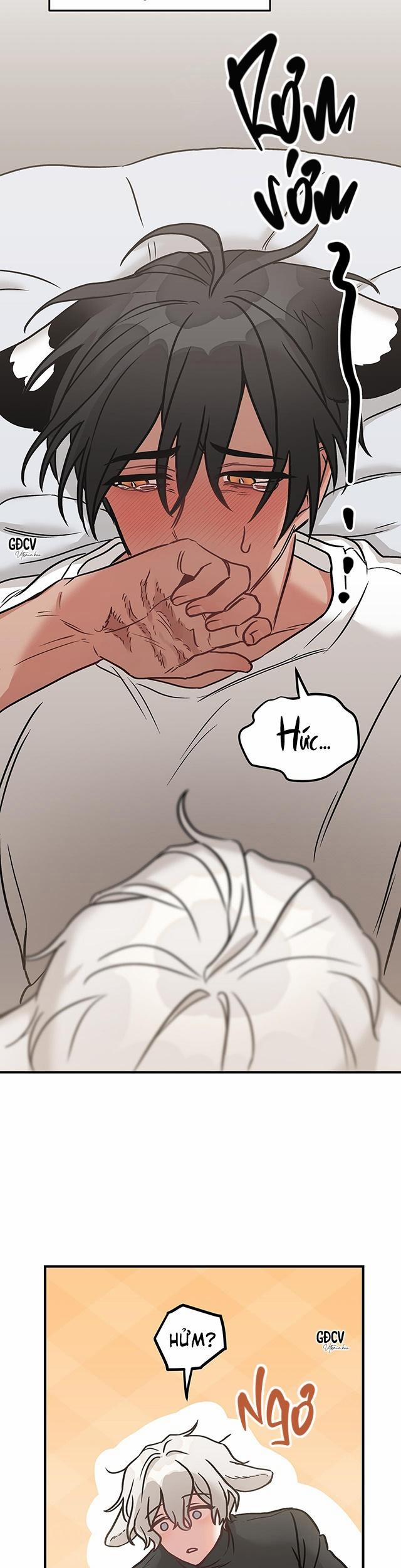 Thưa Ngài Hổ, Tôi Đã Ăn Rất Ngon Miệng 2 trang 3