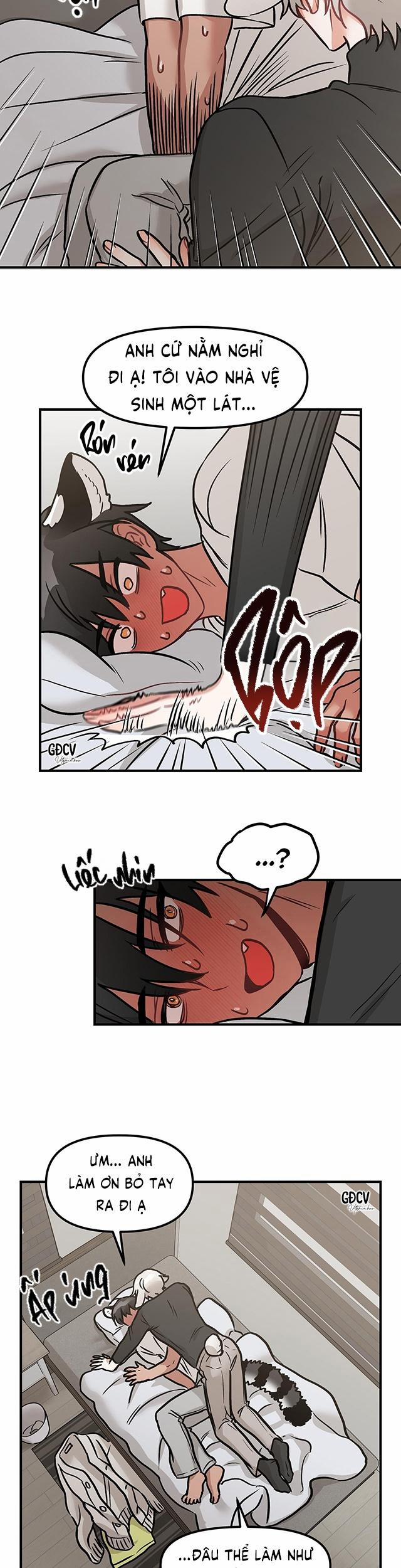 Thưa Ngài Hổ, Tôi Đã Ăn Rất Ngon Miệng 2 trang 8