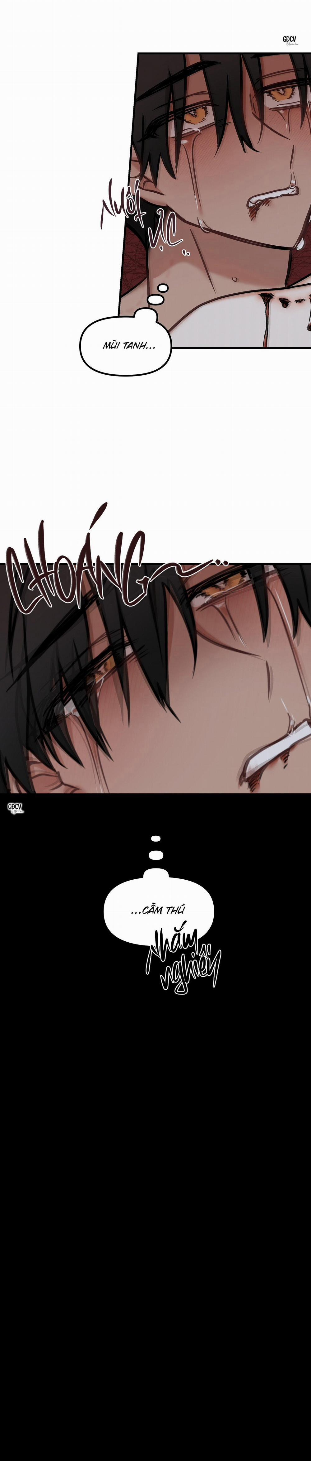 Thưa Ngài Hổ, Tôi Đã Ăn Rất Ngon Miệng 20 trang 14