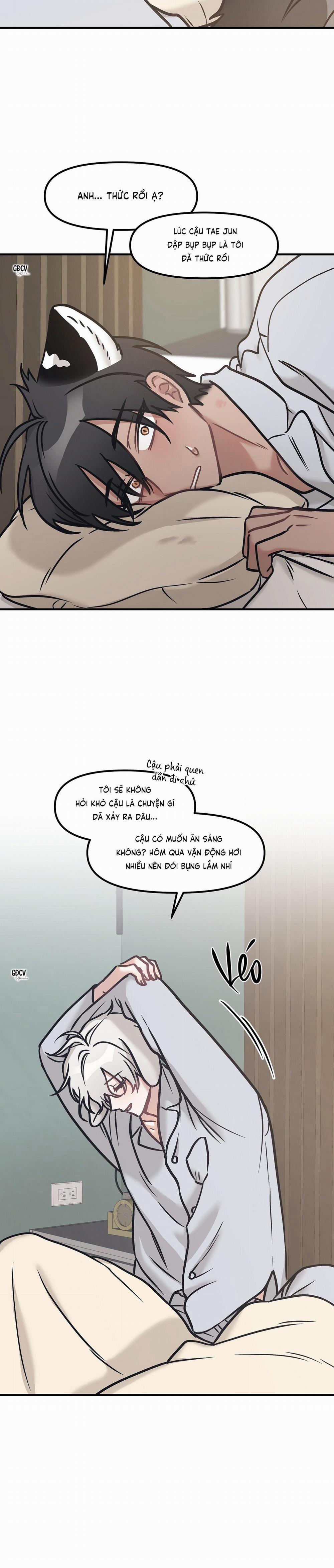 Thưa Ngài Hổ, Tôi Đã Ăn Rất Ngon Miệng 20 trang 21