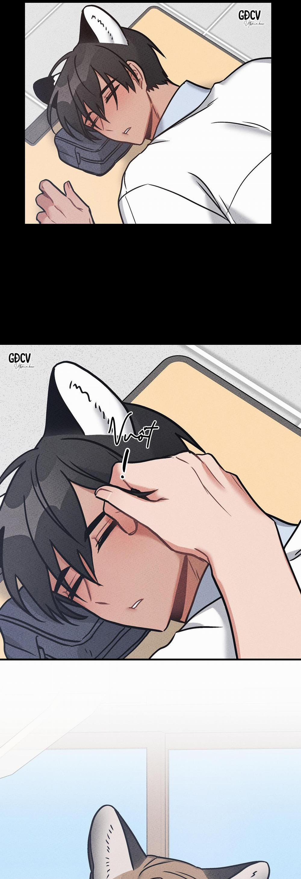 Thưa Ngài Hổ, Tôi Đã Ăn Rất Ngon Miệng 8 trang 31