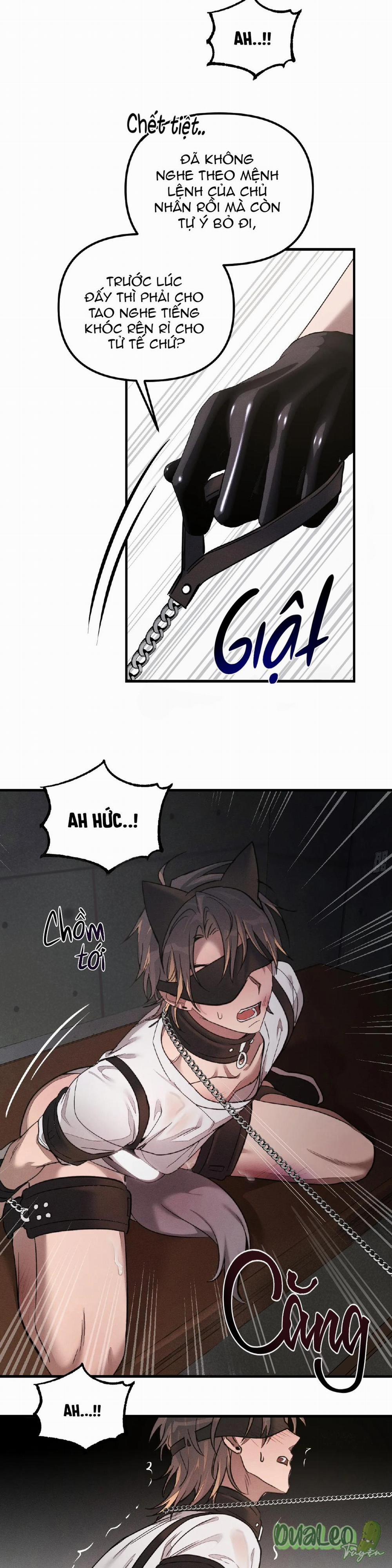 Thuần dưỡng thú cưng 2 trang 12