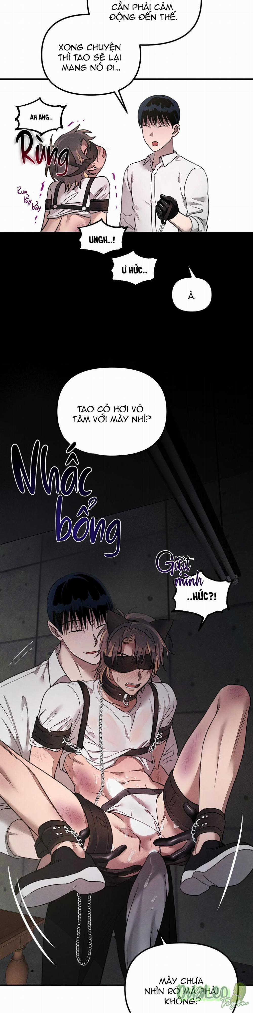 Thuần dưỡng thú cưng 2 trang 15