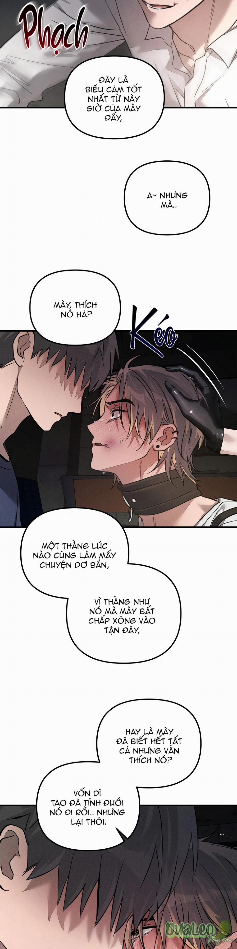 Thuần dưỡng thú cưng 2 trang 24