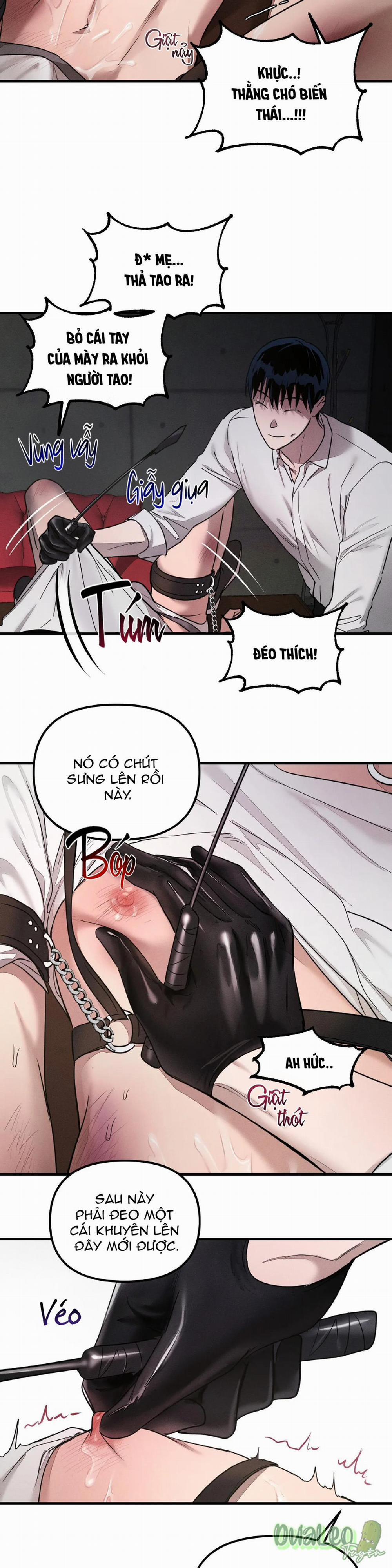 Thuần dưỡng thú cưng 2 trang 7