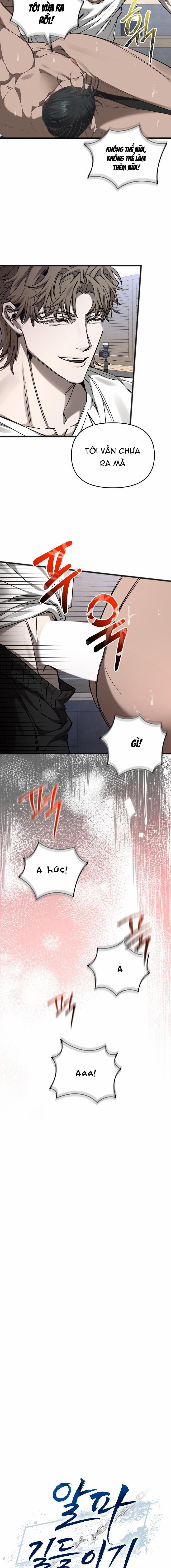 Thuần Hóa Alpha 5 trang 1