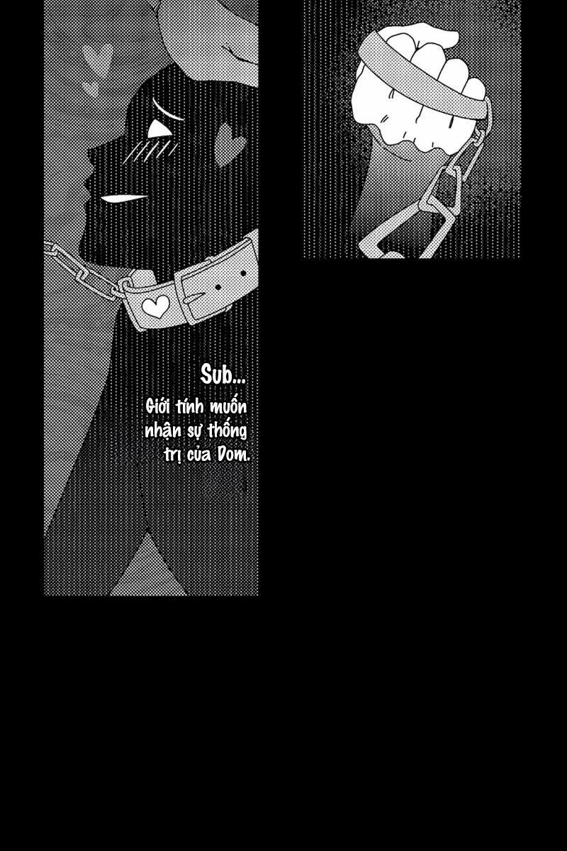 Thuần hóa chó 1 trang 13