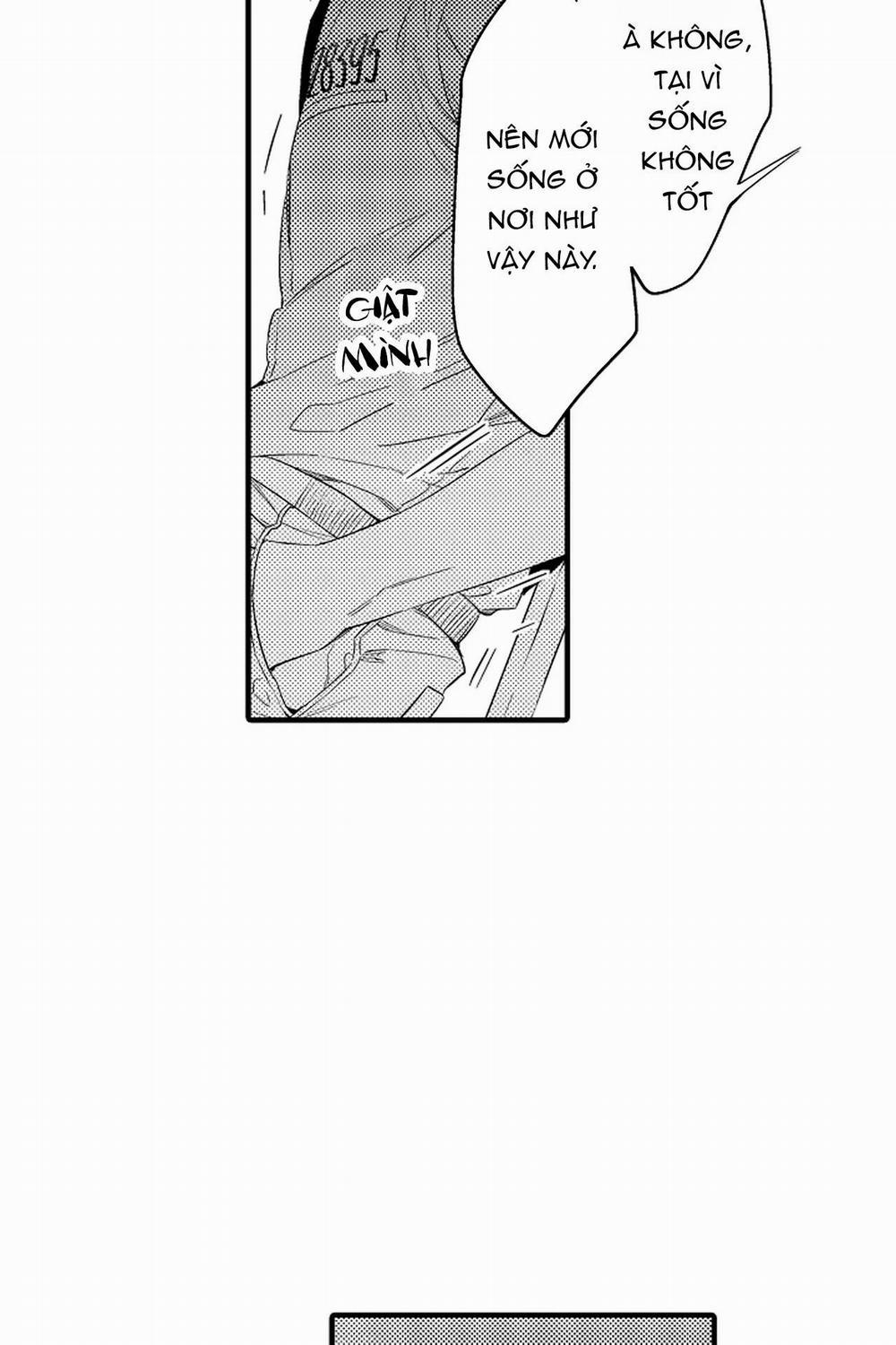 Thuần hóa chó 11 trang 16