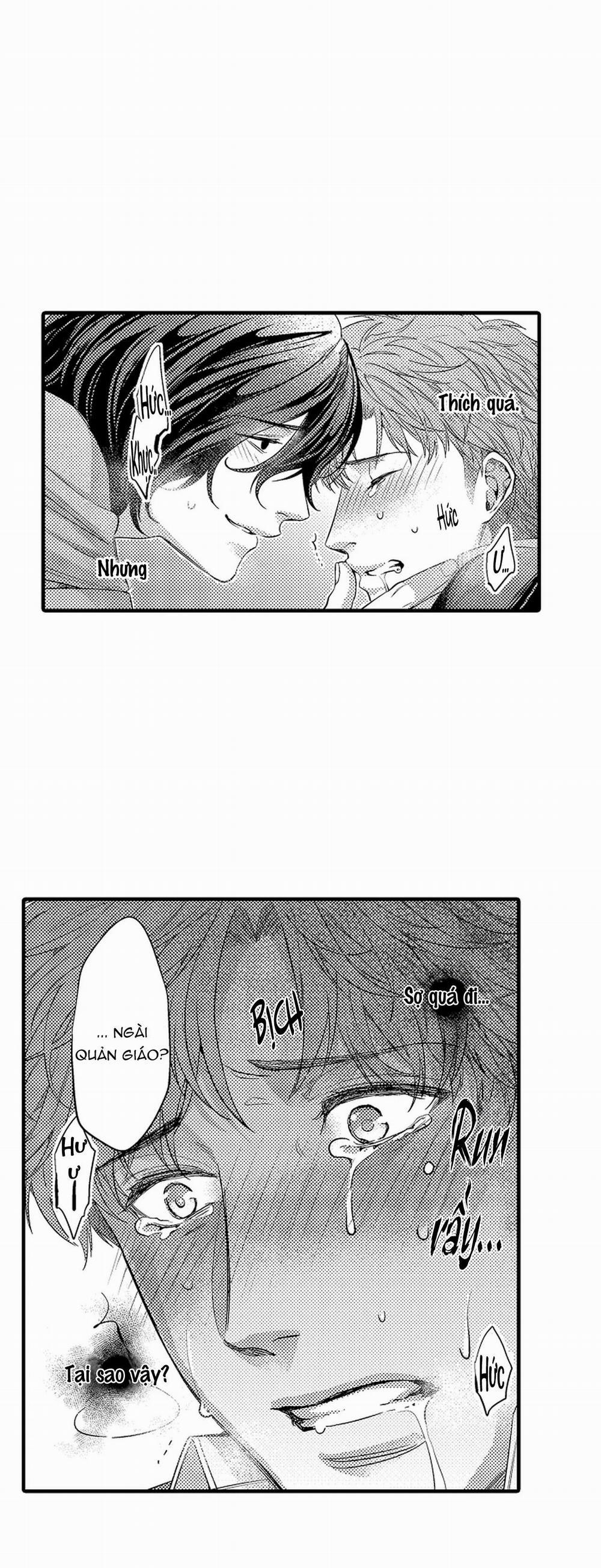 Thuần hóa chó 15 trang 12