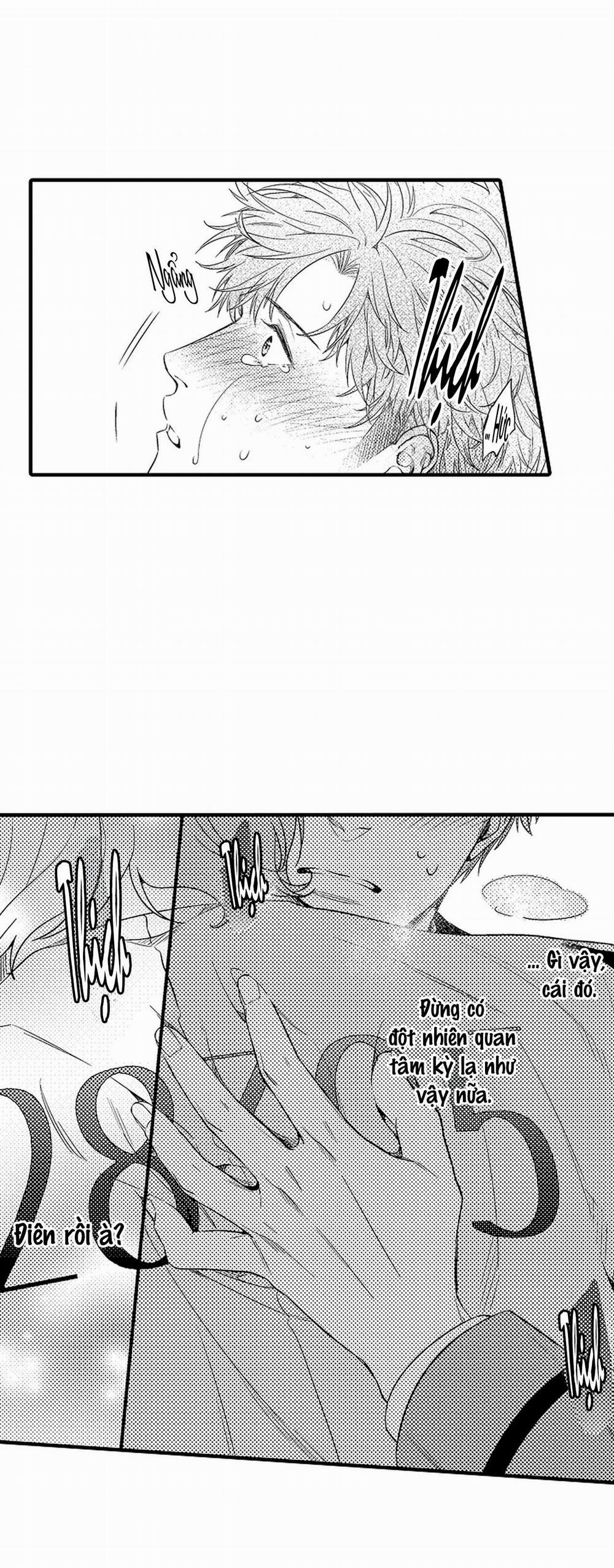 Thuần hóa chó 15 trang 18