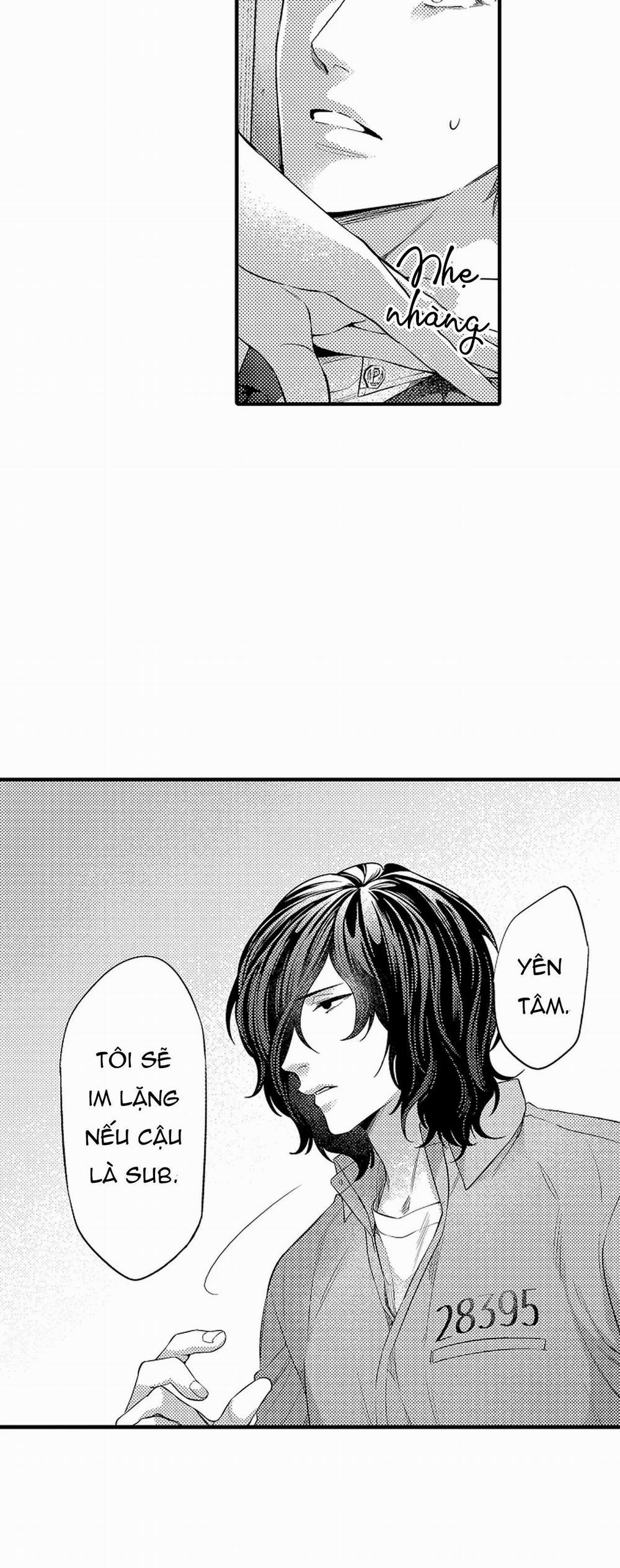 Thuần hóa chó 16 trang 16