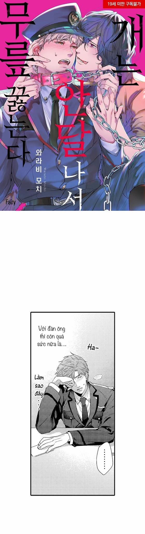 Thuần hóa chó 17 trang 0