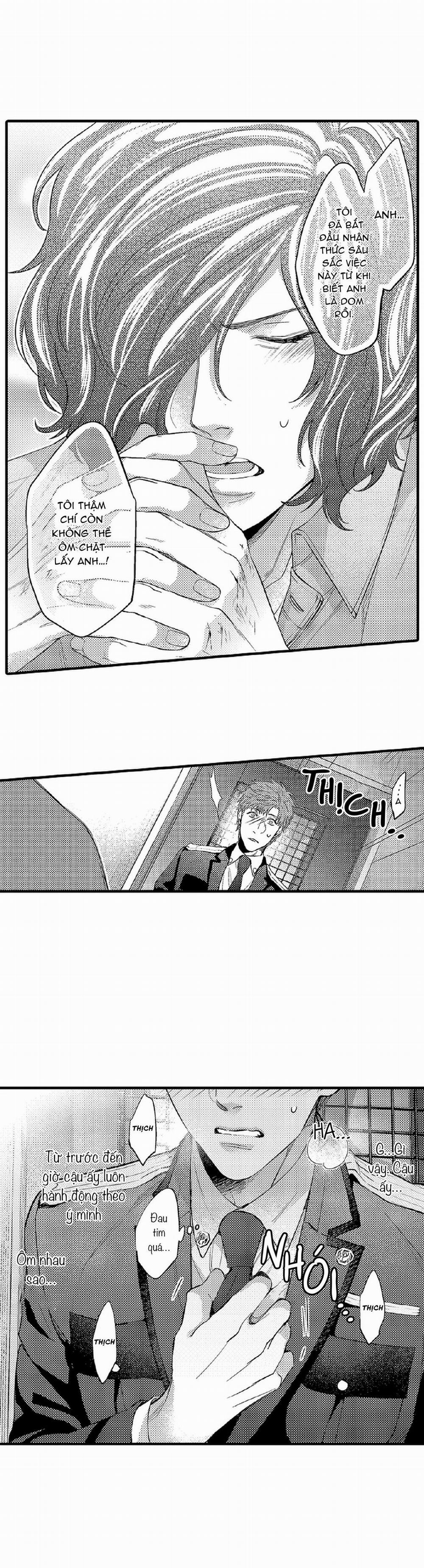 Thuần hóa chó 17 trang 13