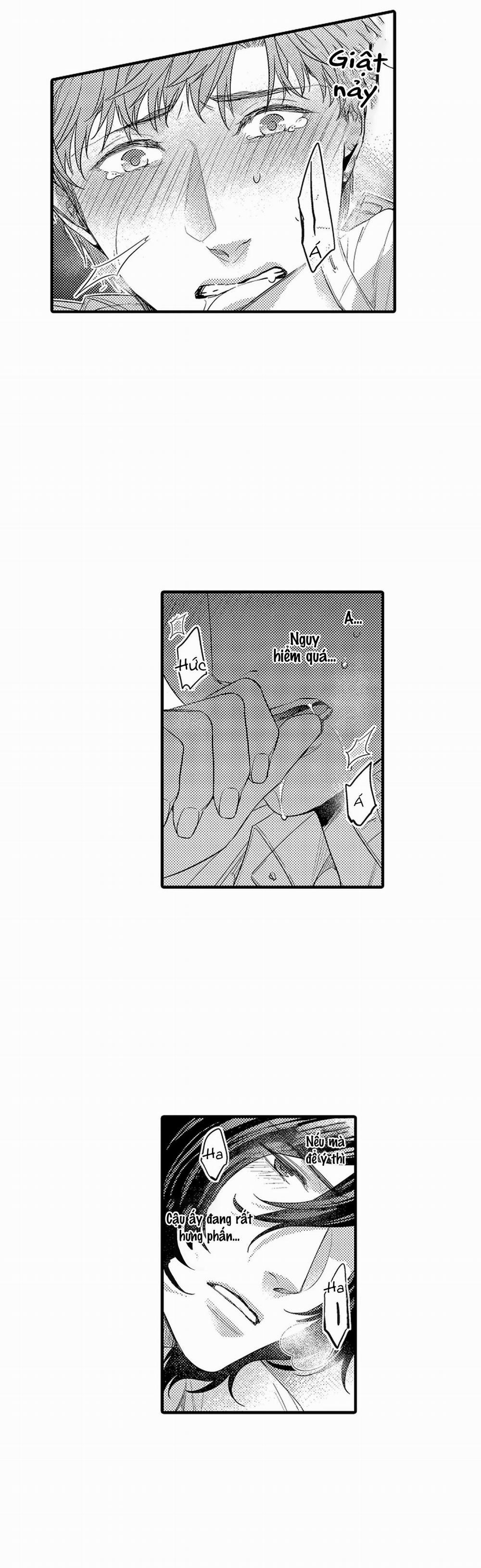 Thuần hóa chó 18 trang 13