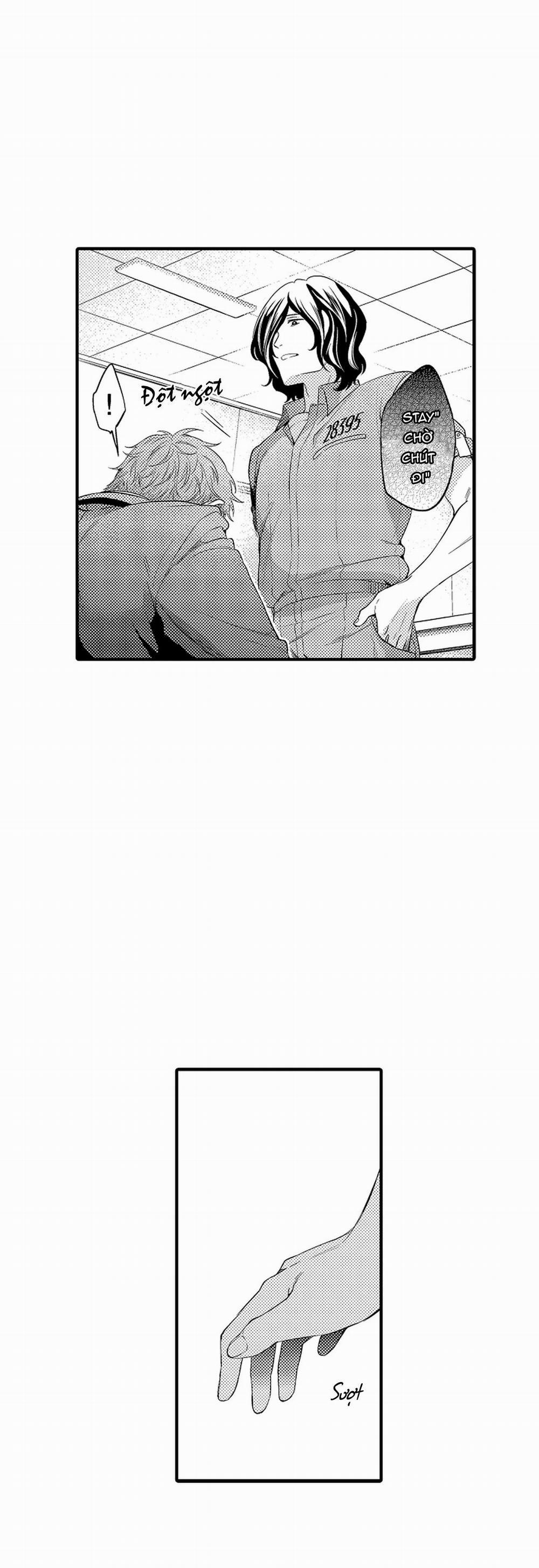 Thuần hóa chó 3 trang 1