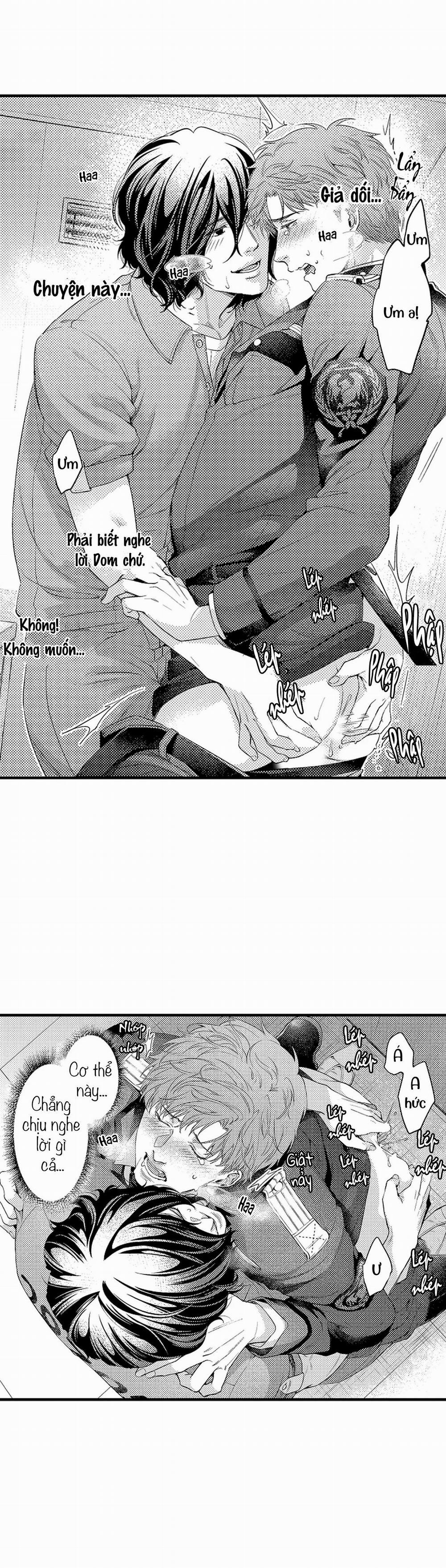 Thuần hóa chó 3 trang 17