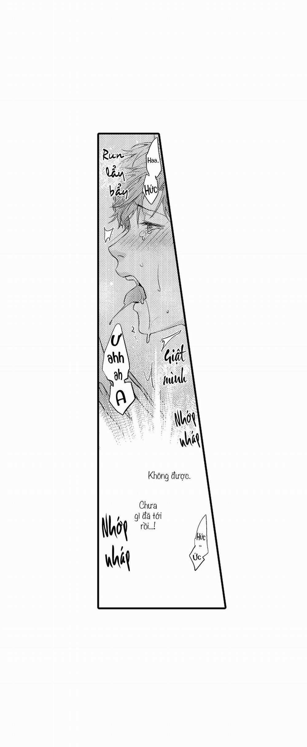 Thuần hóa chó 6 trang 23