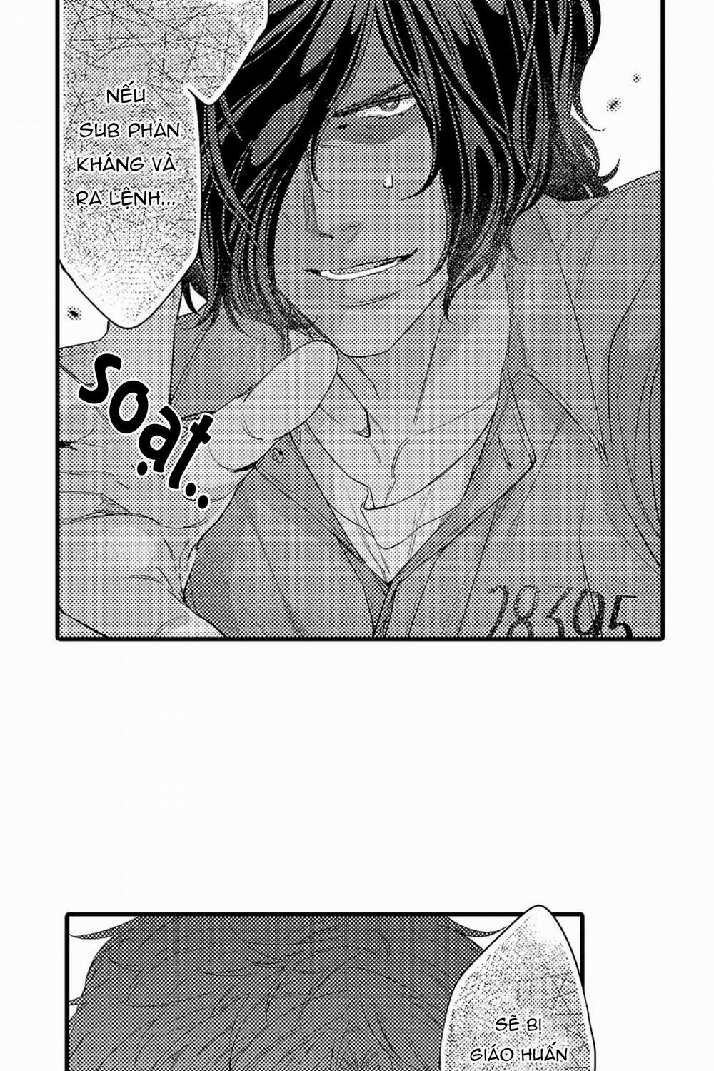 Thuần hóa chó 8 trang 16