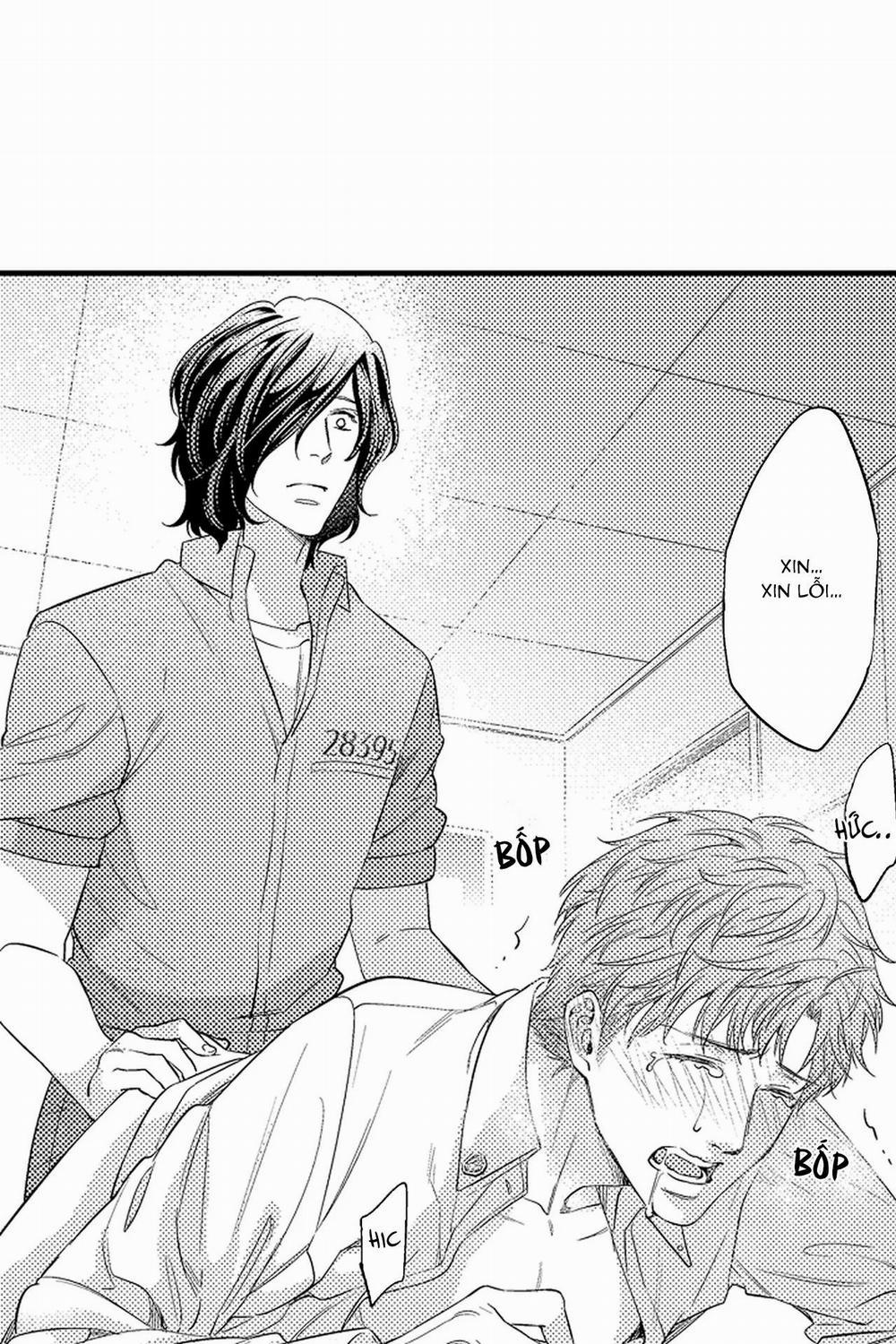 Thuần hóa chó 9 trang 19