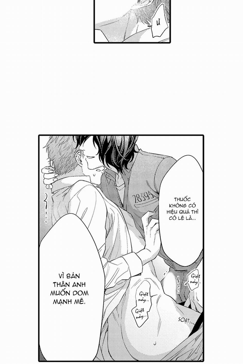 Thuần hóa chó 9 trang 7