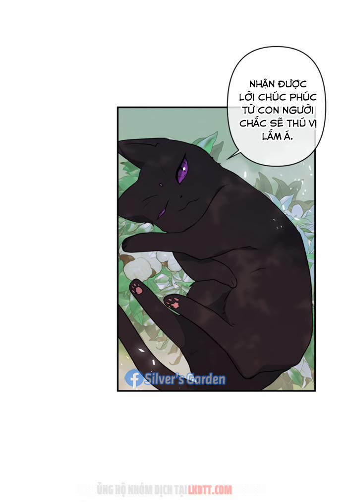 Thuần Hoá Quái Thú Thật Tốt 17 trang 6