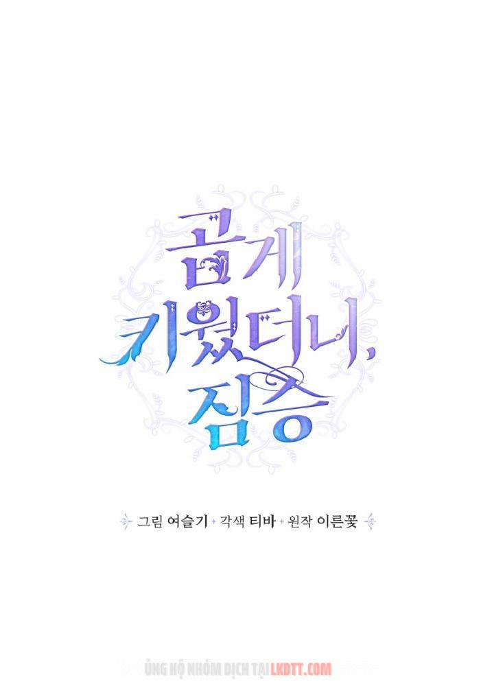 Thuần Hoá Quái Thú Thật Tốt 5 trang 0