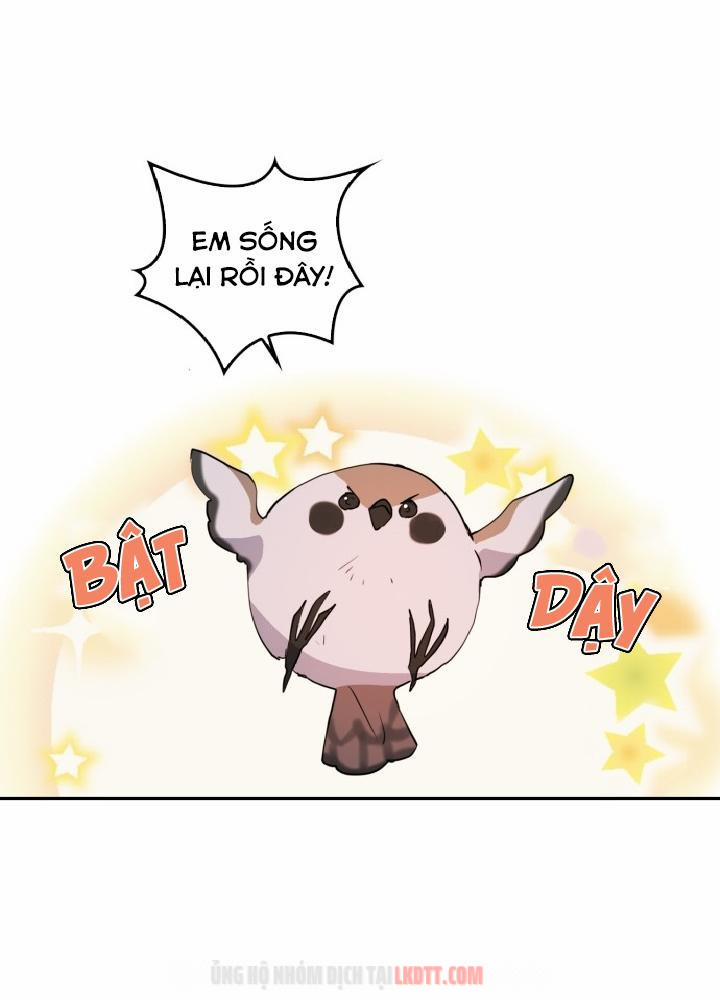 Thuần Hoá Quái Thú Thật Tốt 5 trang 10